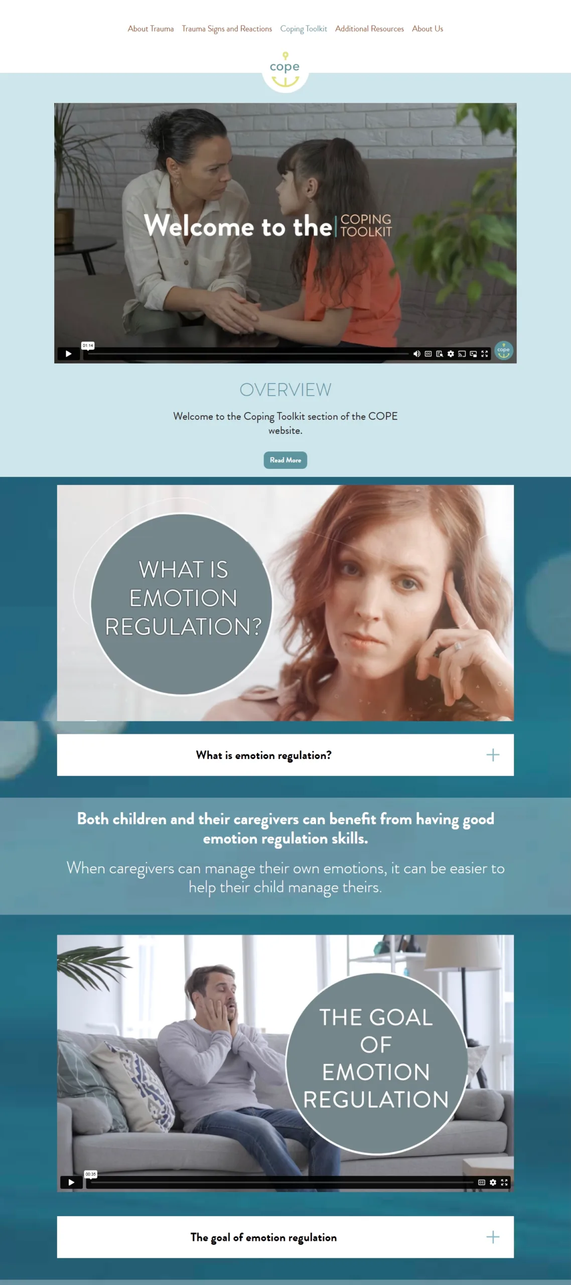Cope Website 12 How to regulate your emotions